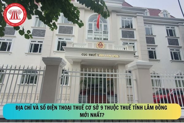 Pháp luật