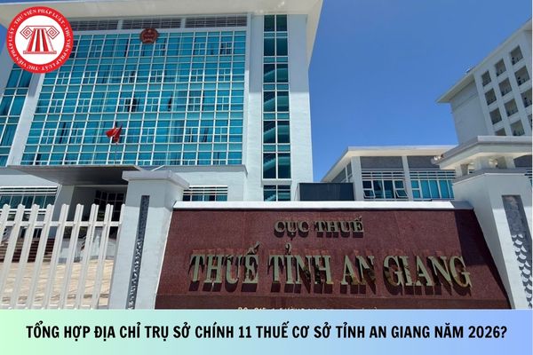 Pháp luật