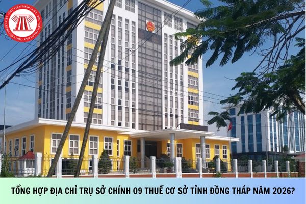 Pháp luật