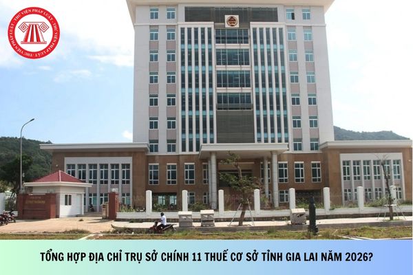 Pháp luật