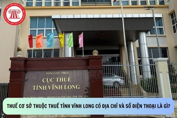 Pháp luật