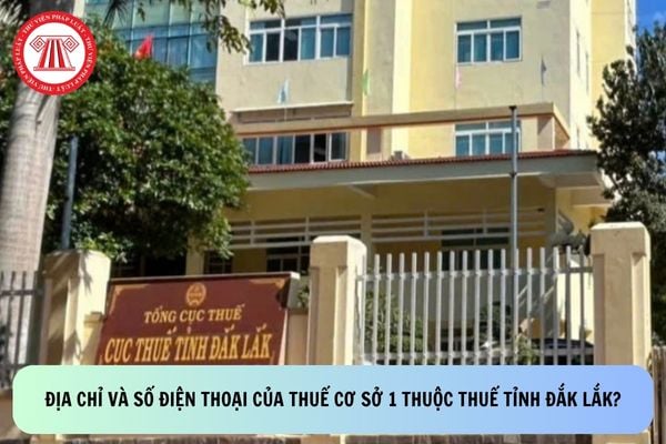 Pháp luật