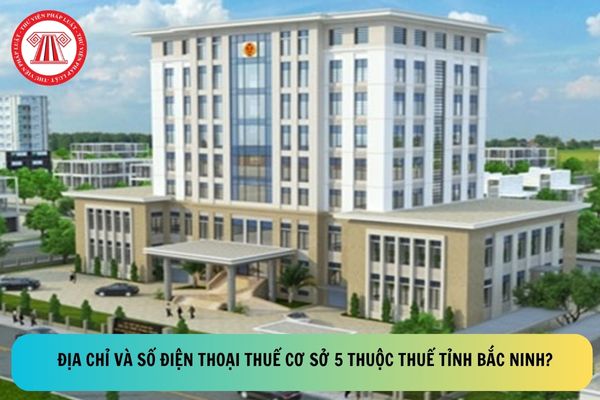 Pháp luật