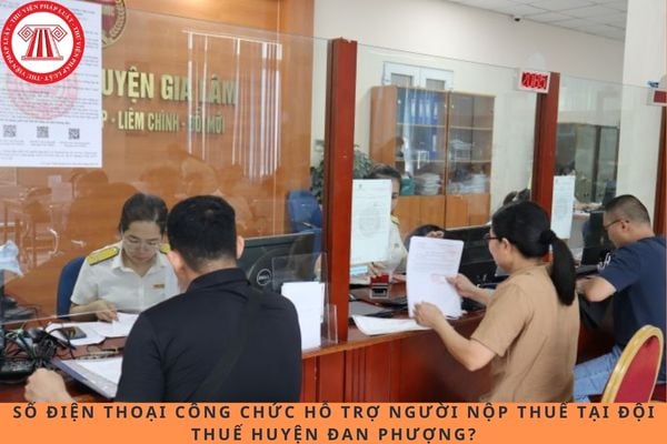 Pháp luật
