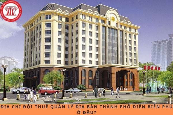 Pháp luật