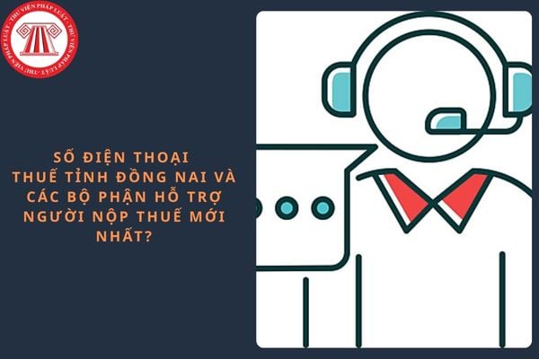 Pháp luật