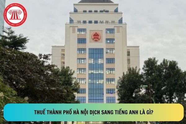Thuế thành phố Hà Nội dịch sang tiếng Anh là gì? Danh sách Thuế cơ sở nào ở thành phố Hà Nội hiện nay?