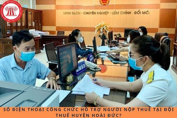Pháp luật
