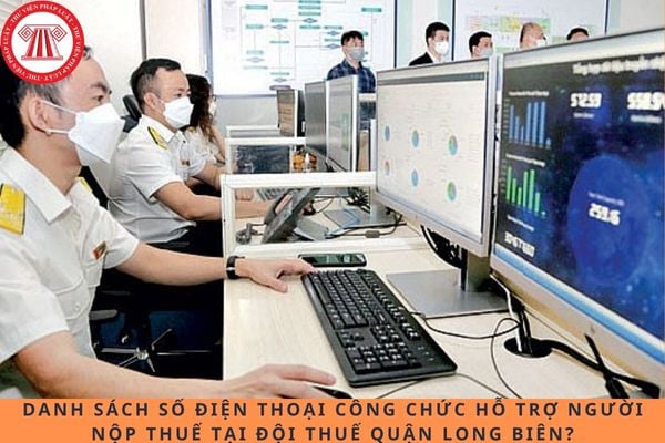 Pháp luật