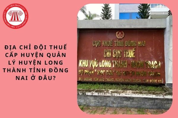 Pháp luật