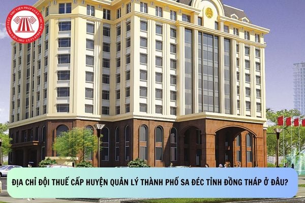 Pháp luật