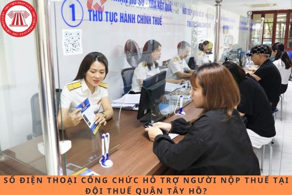 Pháp luật