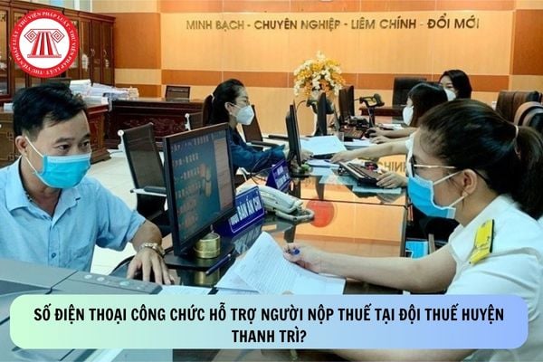 Pháp luật