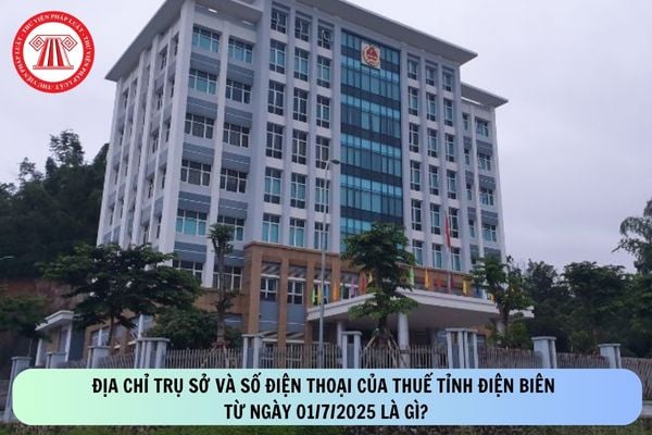 Pháp luật