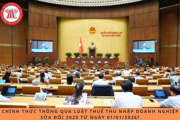 Pháp luật