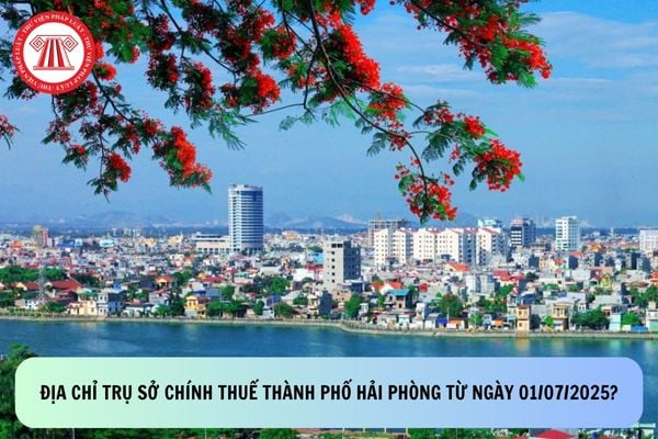 Pháp luật