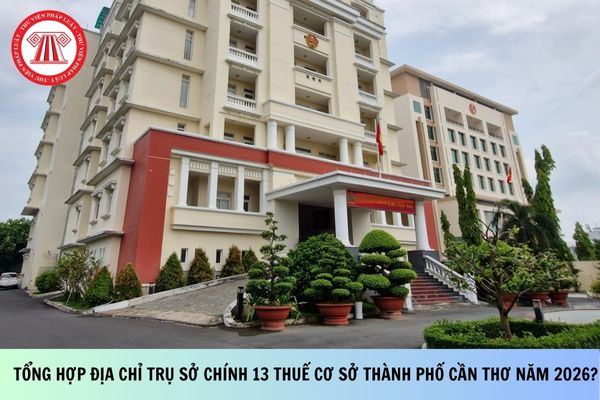 Pháp luật