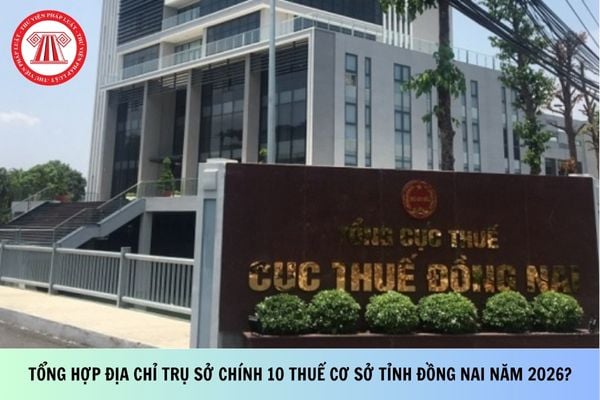 Pháp luật