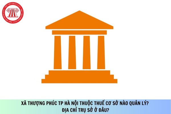 Pháp luật