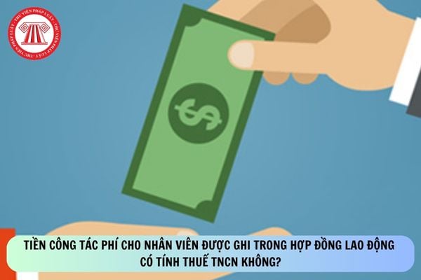Pháp luật