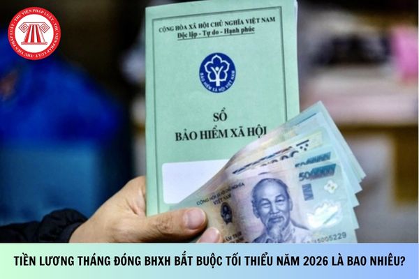 Pháp luật