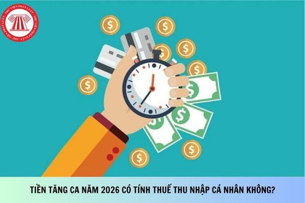 Pháp luật