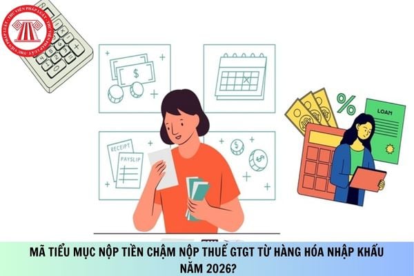 Pháp luật