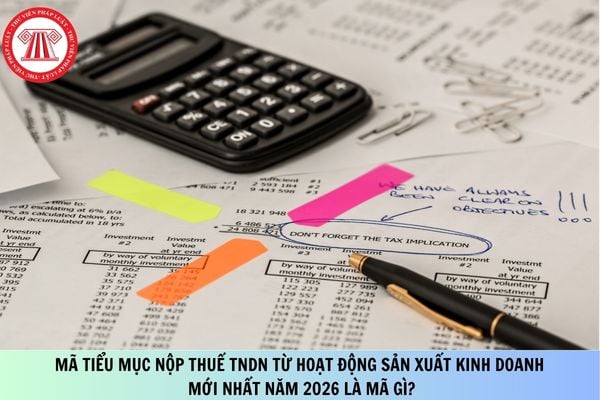 Pháp luật
