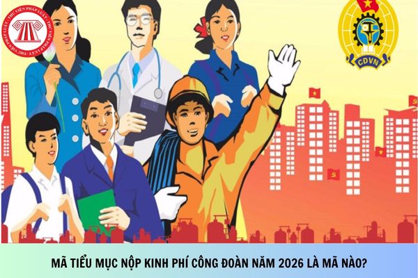 Pháp luật