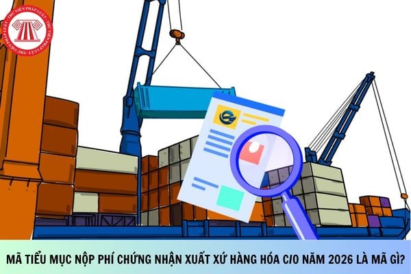 Pháp luật