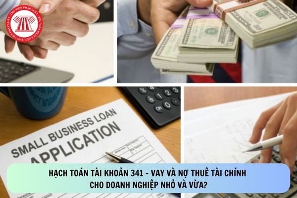 Pháp luật