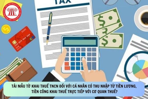 Pháp luật