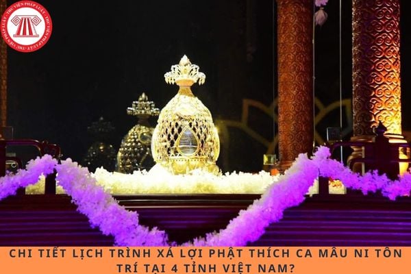 Pháp luật