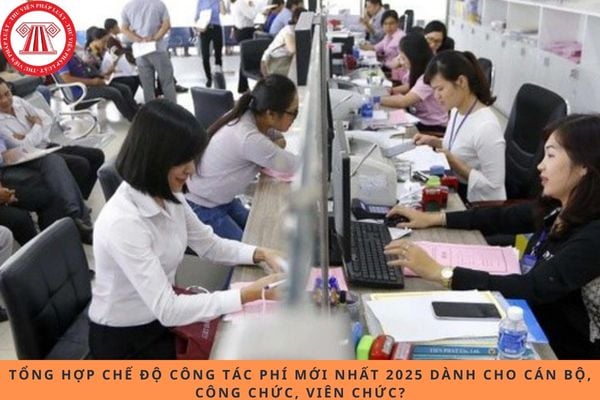 Pháp luật