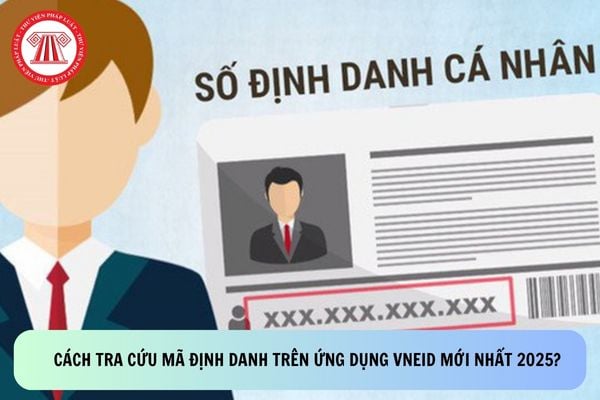 Pháp luật