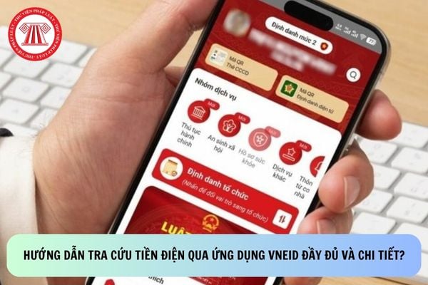 Pháp luật