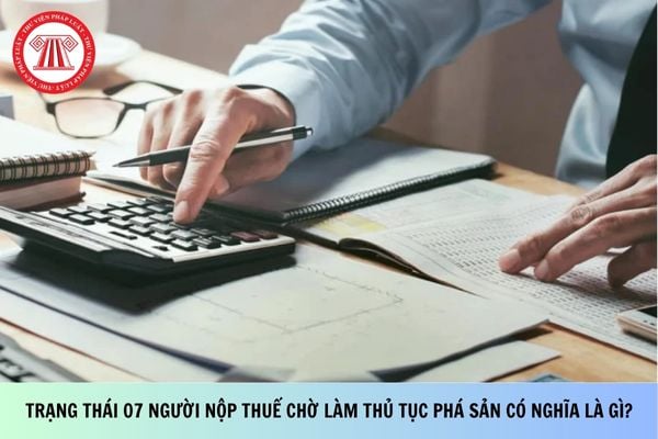 Trạng thái 07 người nộp thuế chờ làm thủ tục phá sản có nghĩa là gì?