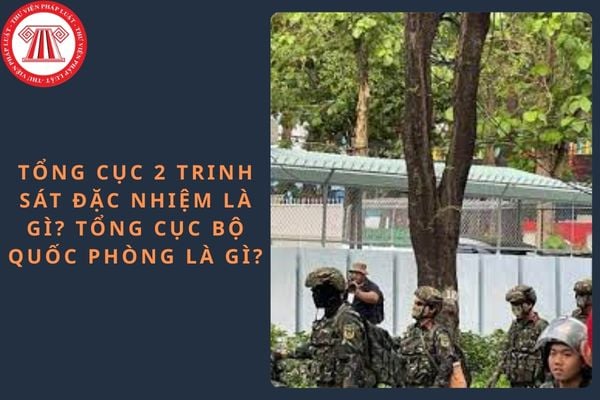 Pháp luật