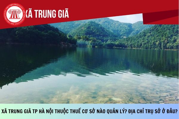 Pháp luật