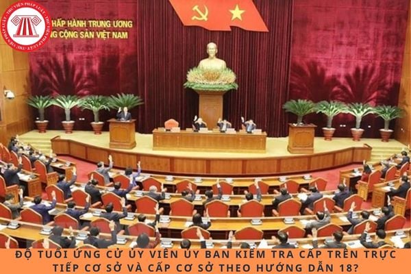 Pháp luật