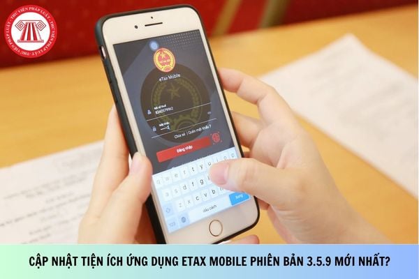 Pháp luật