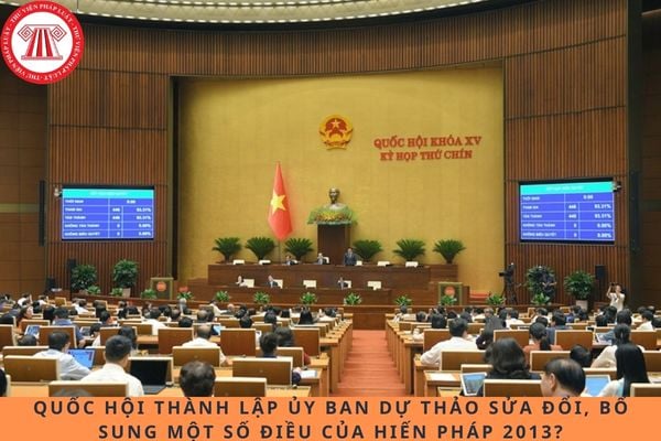Pháp luật