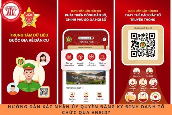 Pháp luật