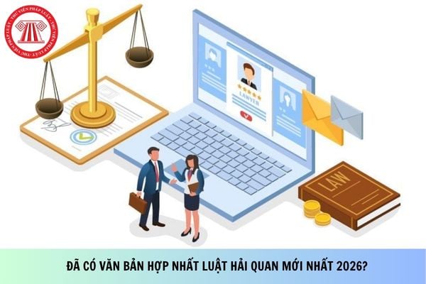 Pháp luật