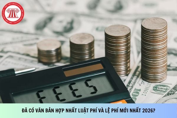 Pháp luật