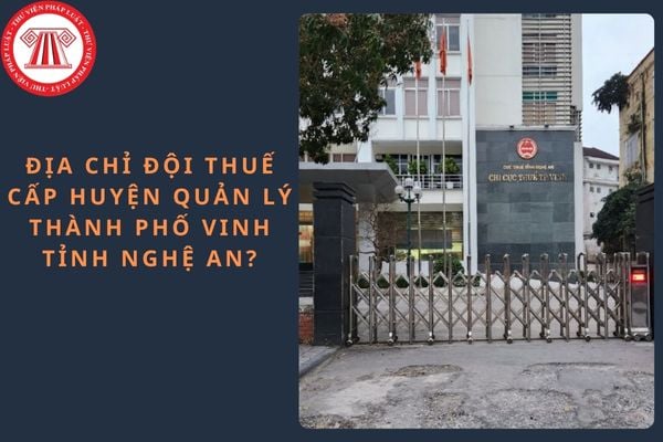 Pháp luật