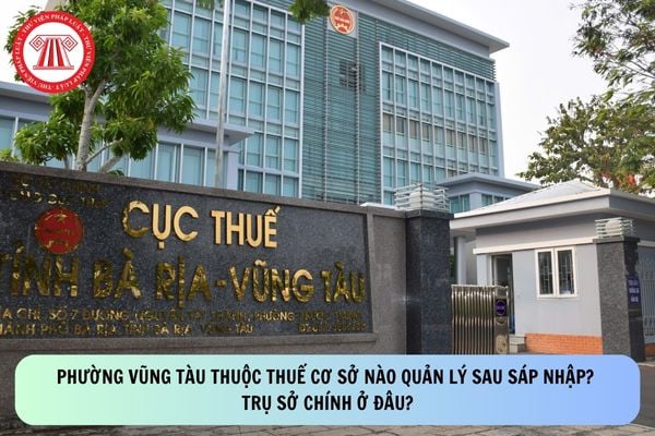 Pháp luật