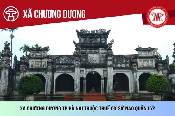 Pháp luật