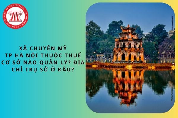 Pháp luật