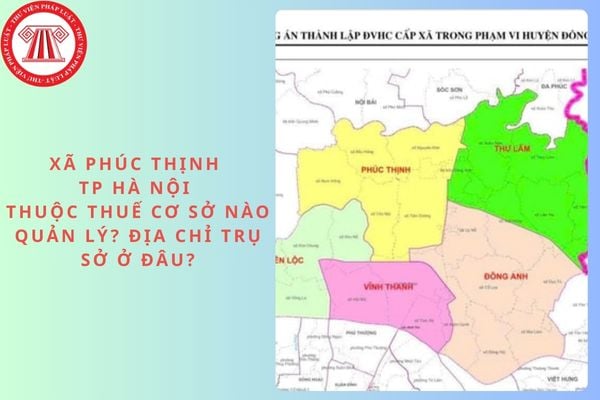 Pháp luật
